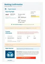 Sample fake flight ticket picture with a flight itinerary